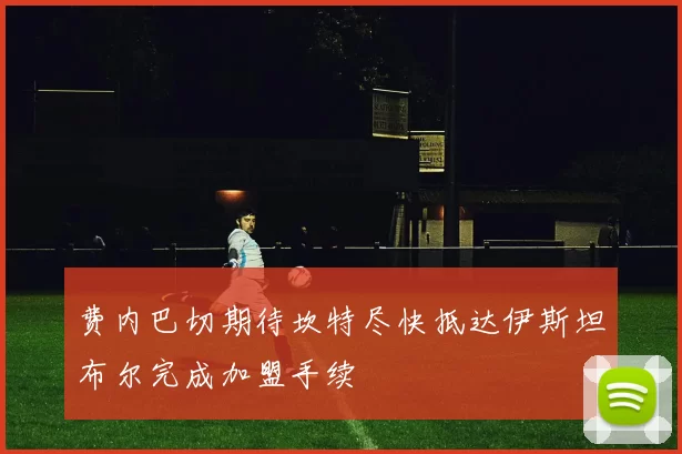 费内巴切期待坎特尽快抵达伊斯坦布尔完成加盟手续