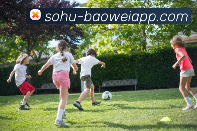 宝威体育全站App